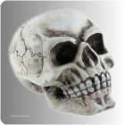 Totenkopf 