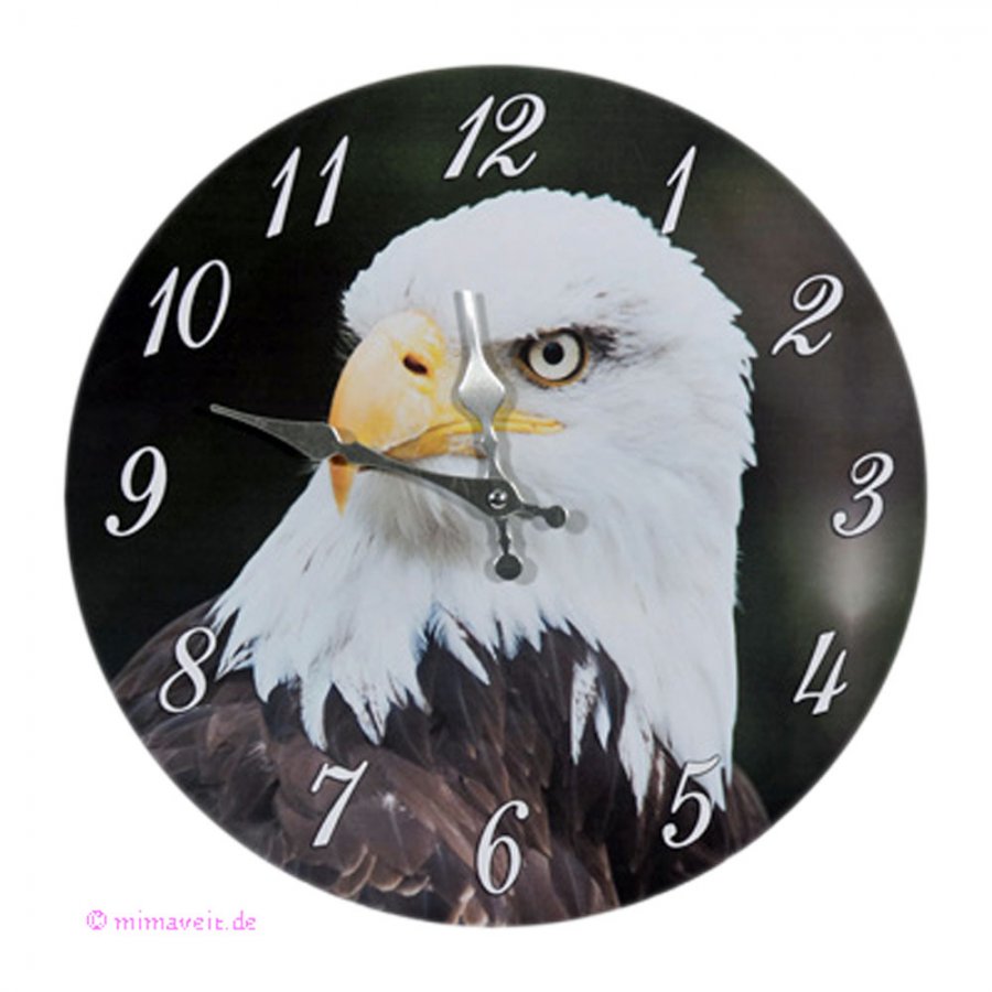 Wanduhr Uhr Adler Weißkopfseeadler